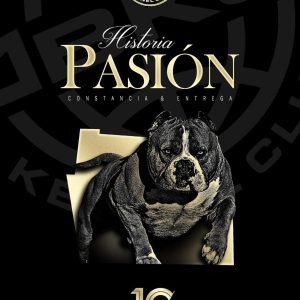 LIBRO HISTORIA ,PASION ,CONSTANCIA & ENTREGA