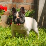 1ab280dd-738b-416a-886f-2220801c4930