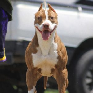 WhatsApp Image 2026-03-16 at 19.14.21