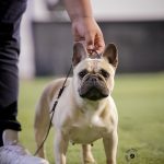 d20e7129-74e5-4468-8630-680acfec3e61